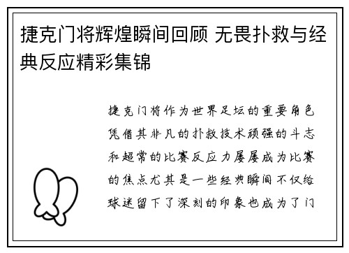 捷克门将辉煌瞬间回顾 无畏扑救与经典反应精彩集锦