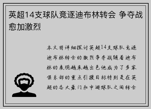 英超14支球队竞逐迪布林转会 争夺战愈加激烈