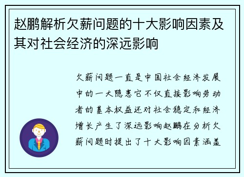赵鹏解析欠薪问题的十大影响因素及其对社会经济的深远影响
